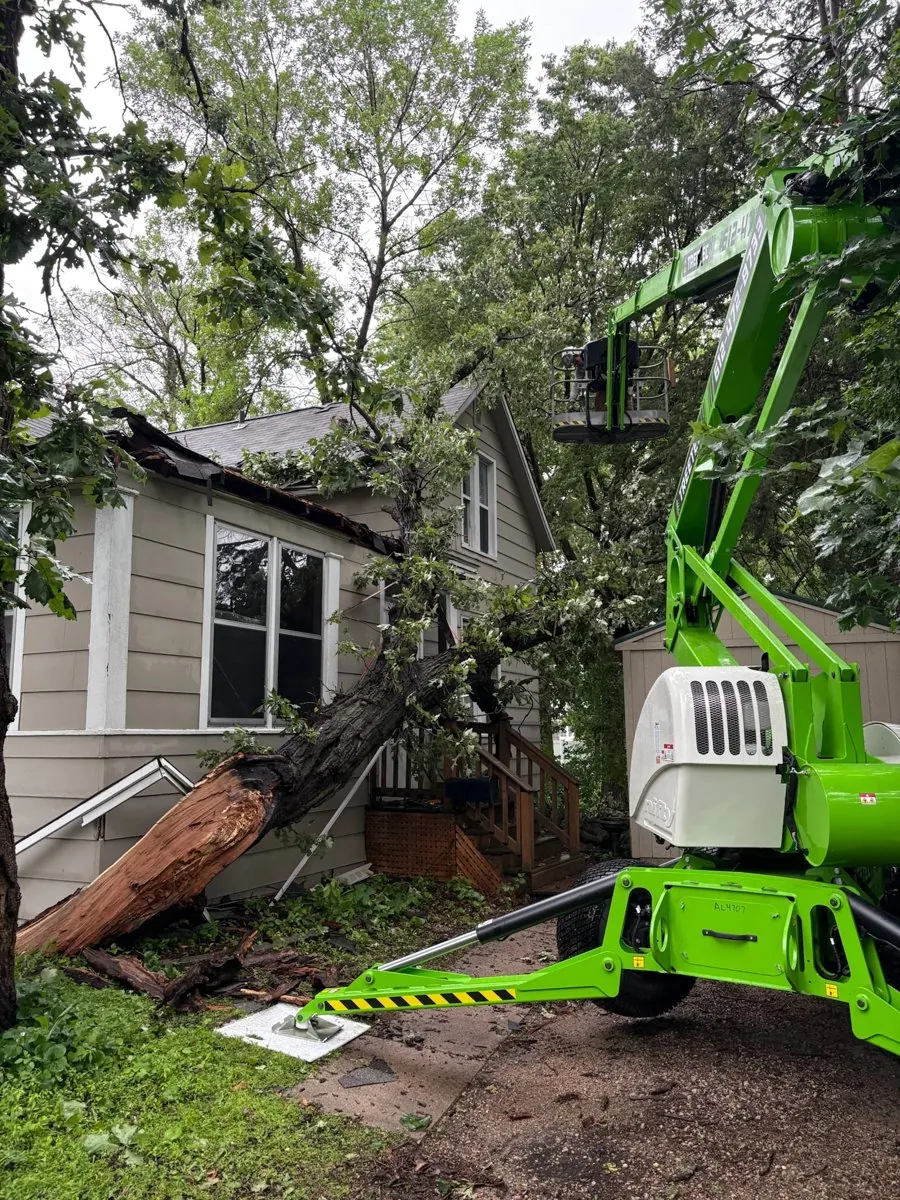 Storm-damaged tree resting across a house roof before emergency removal