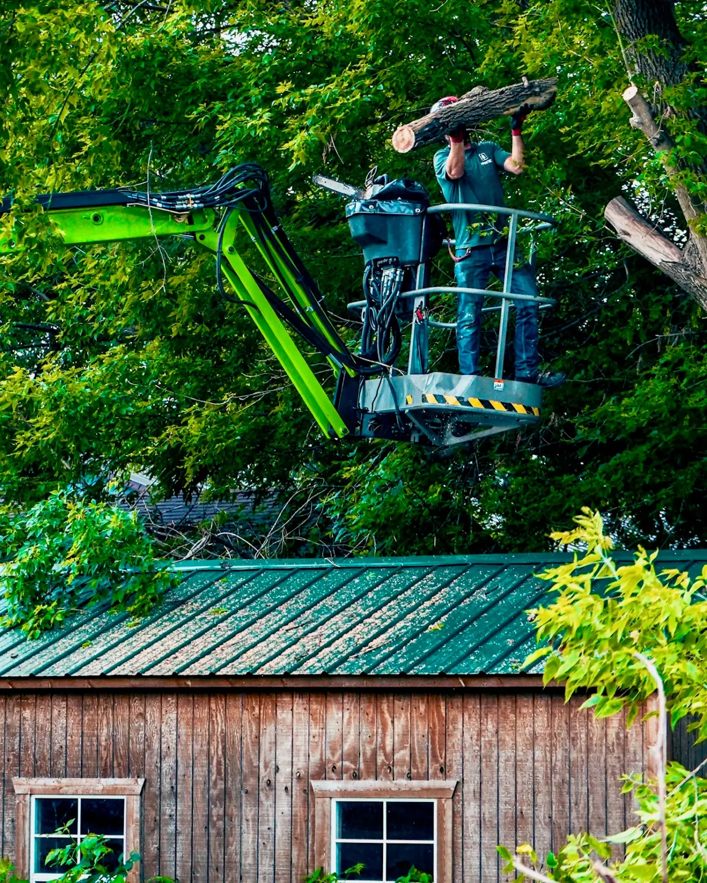 TreeTec operator in a lift basket working a limb while the excavator grapple holds it, above a barn roof