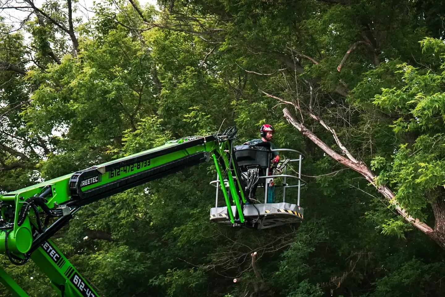 TreeTec operator working from a spider lift in a tree canopy