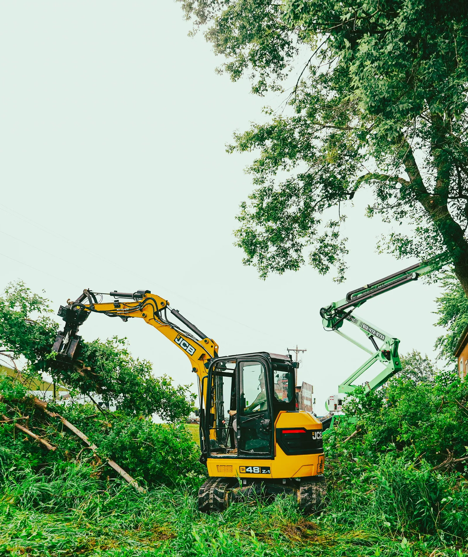 TreeTec excavator and spider lift working a treeline together on a removal