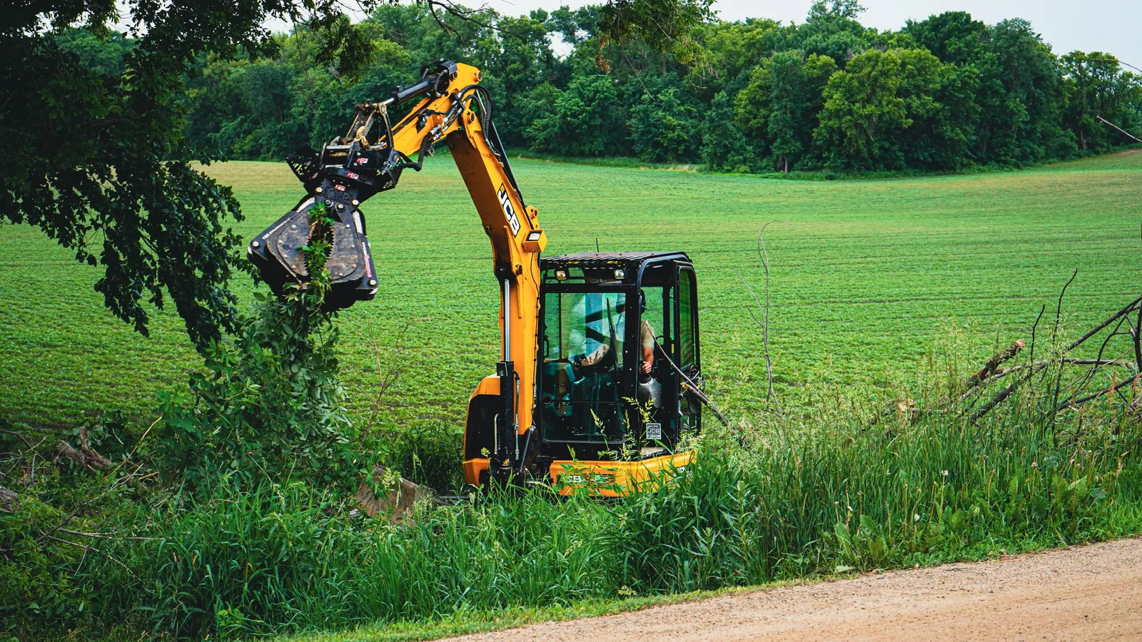 TreeTec excavator with a grapple attachment clearing a treeline in central Minnesota