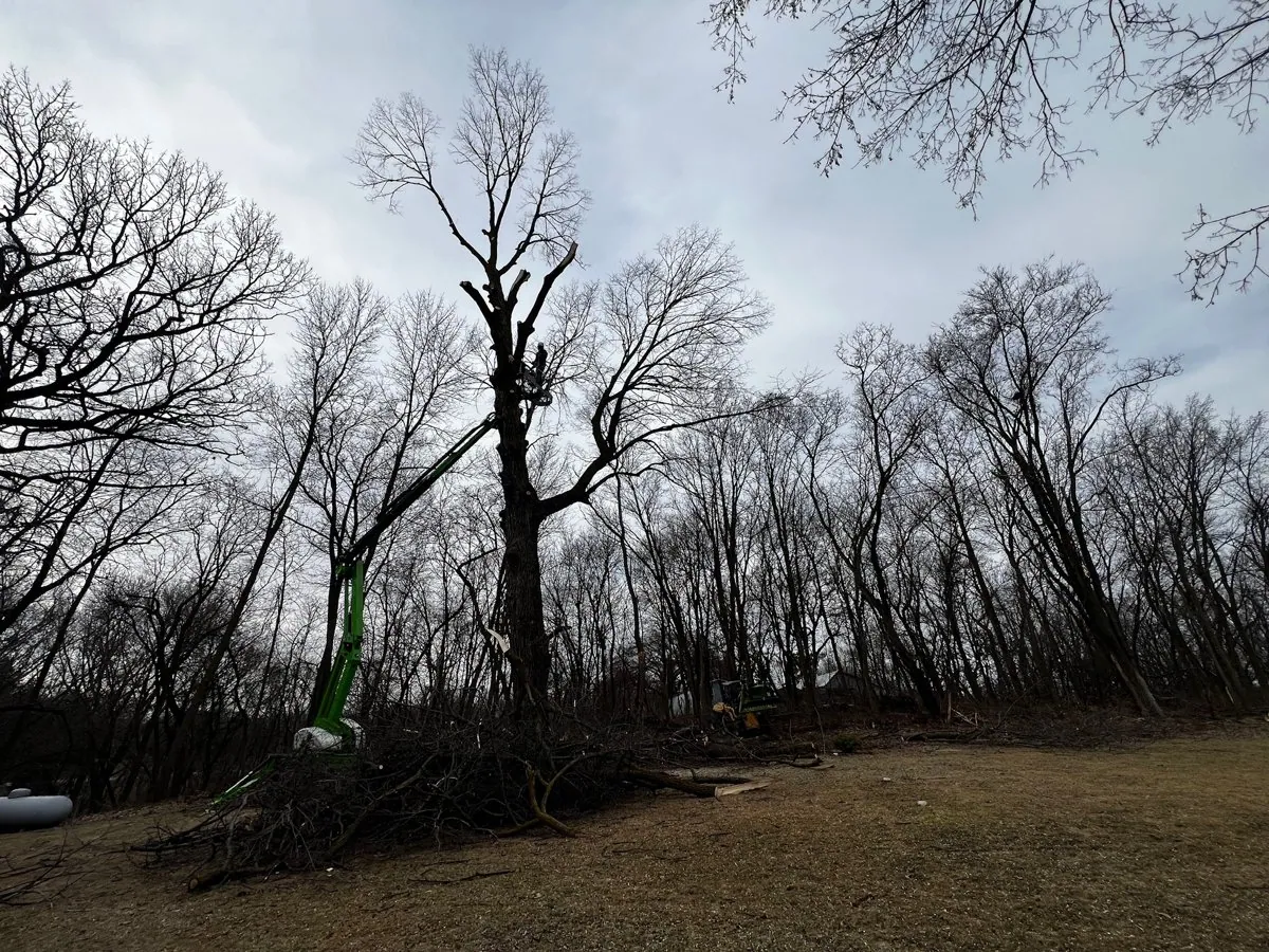 Winter land clearing on a rural building site in central Minnesota