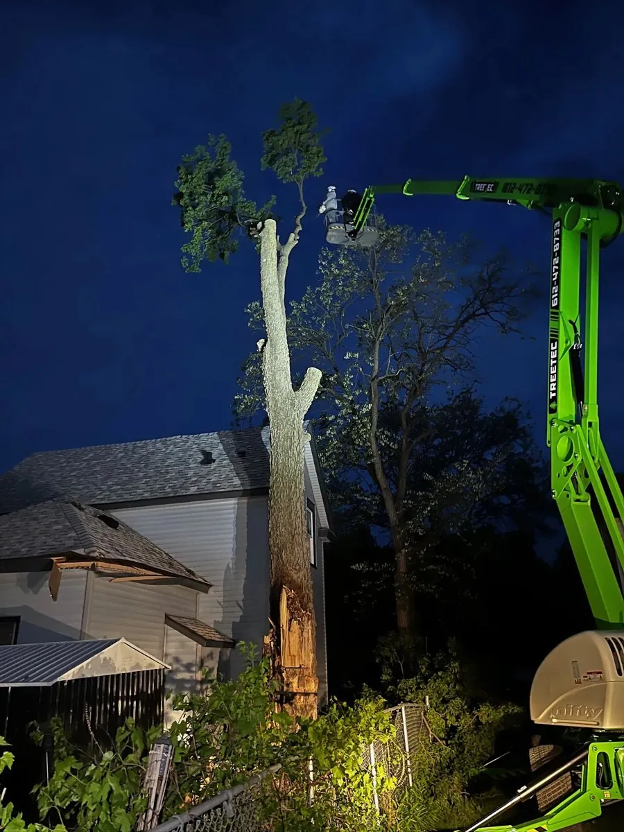 TreeTec crew working an emergency tree removal at night in central Minnesota
