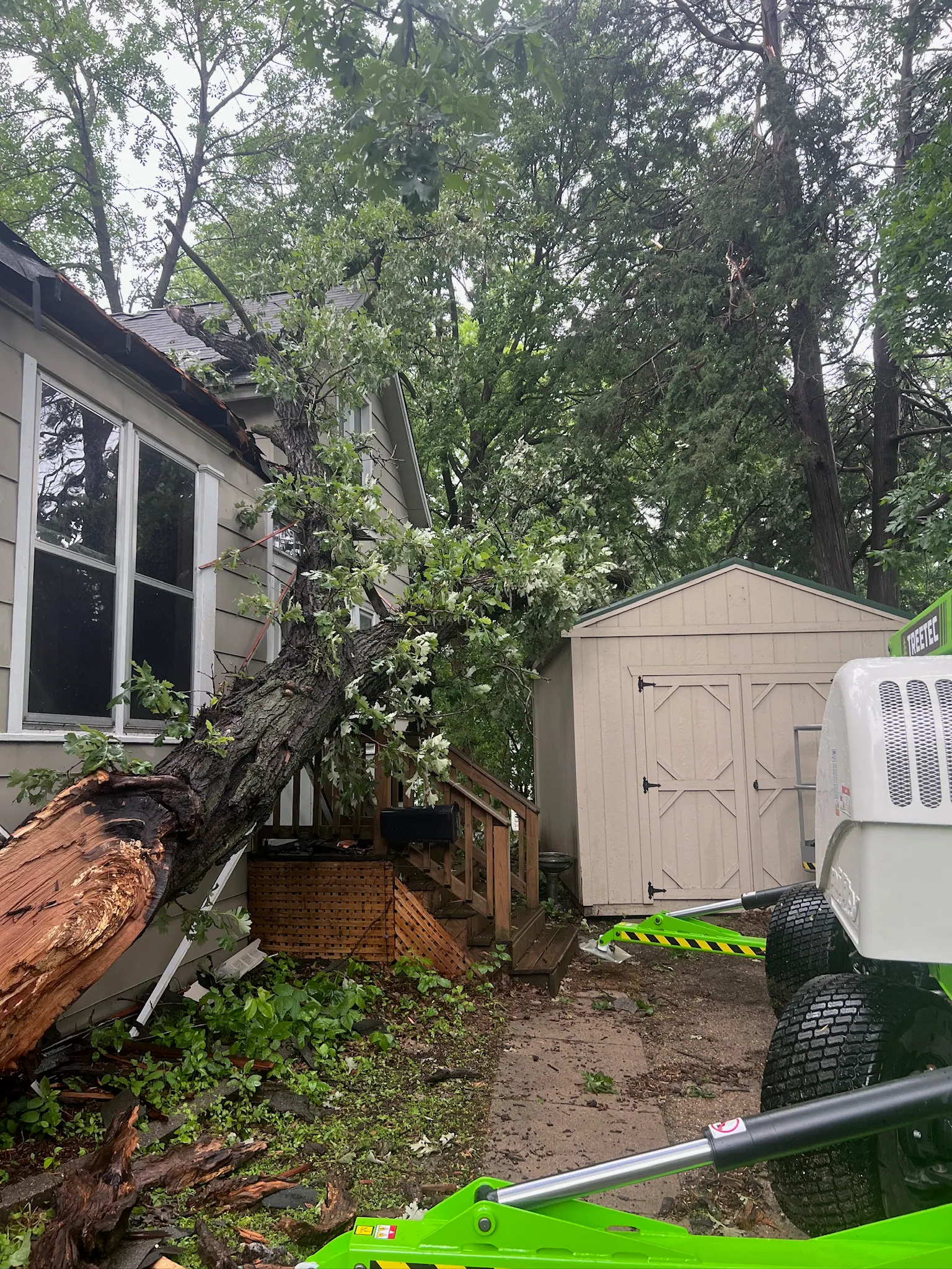 Tree fallen across the rear roofline of a Hutchinson house with a garden shed alongside