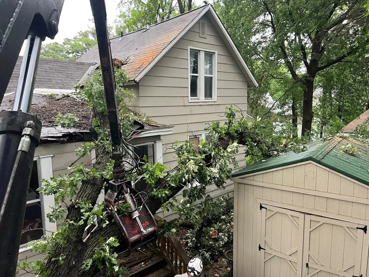 Grapple truck clearing storm-damaged tree debris from a rural Minnesota property